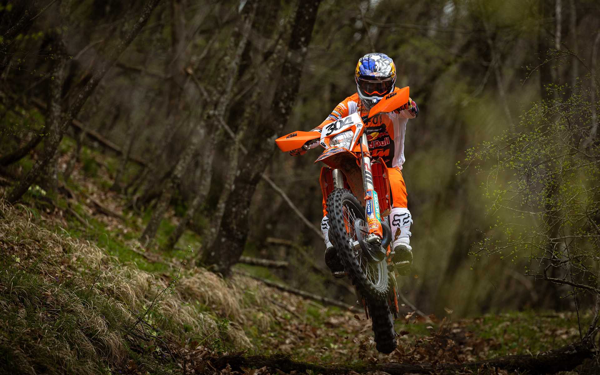 KTM 300 EXC CHAMPION EDITION 2025