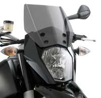 TOURING WINDSCREEN