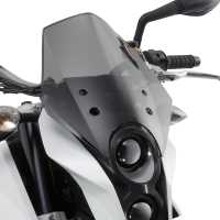 TOURING WINDSCREEN