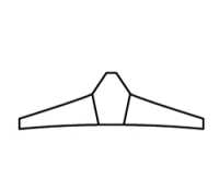 PROSPECT NOSEGUARD