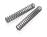 MAINSPRING (43,2) 5,9-430 FORK