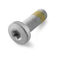 ISA-Bundschraube M10x30 ISA45